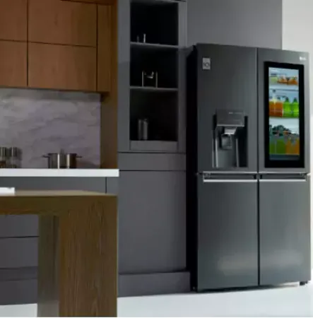 صورة لقسم ثلاجات باب فرنسي