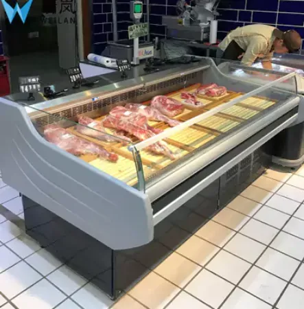 صورة لقسم فريزر لحفظ اللحوم والأسماك